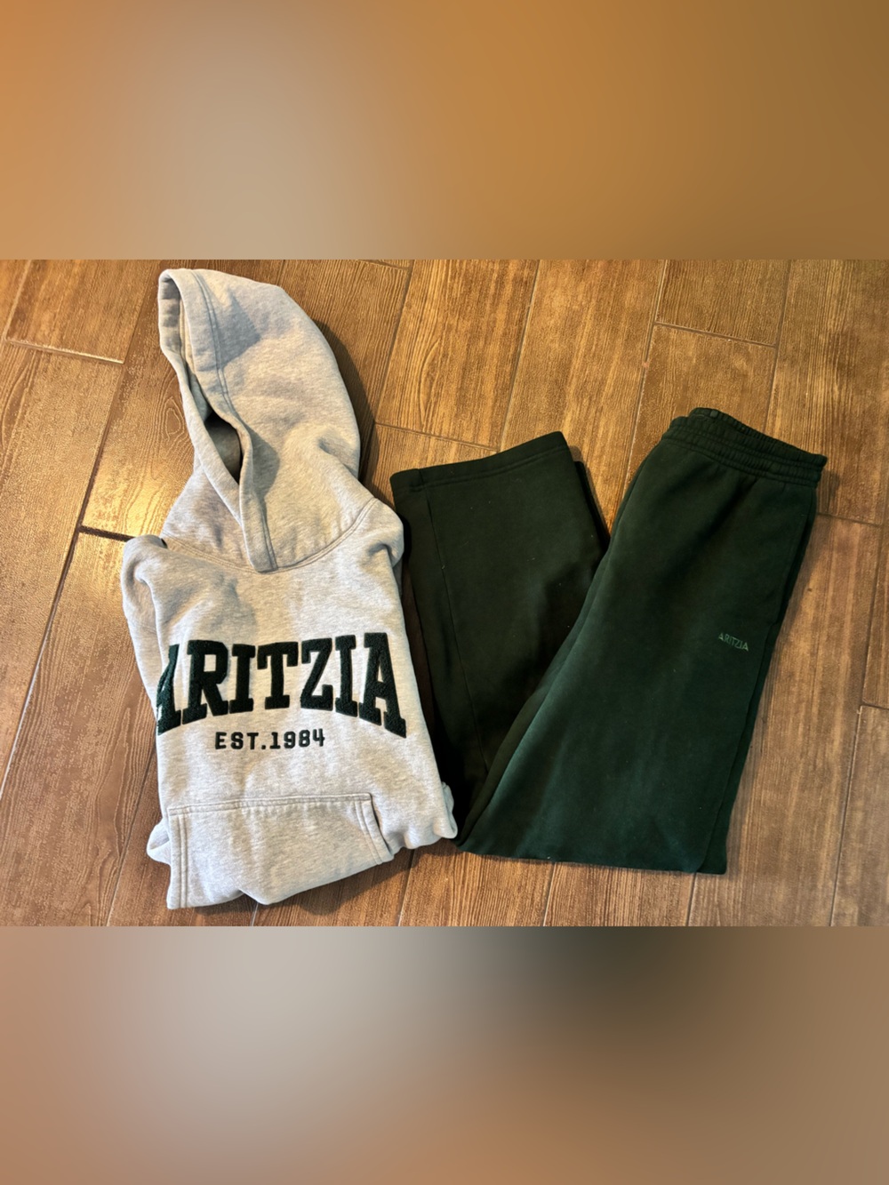 Aritzia Sweatfleece Logo Hoodie with Wide Leg Pants- Set